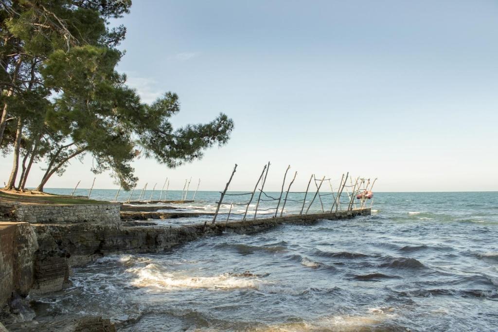 Villa Franka 113 Bašanija Zewnętrze zdjęcie
